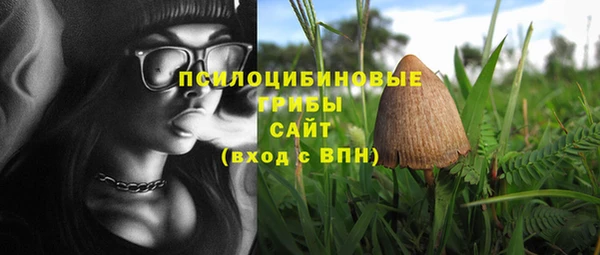 PSILOCYBIN Волосово