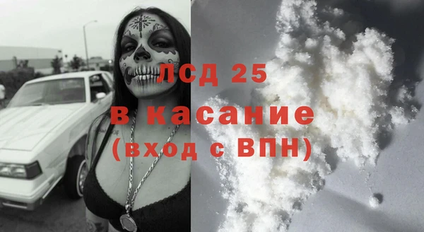 PSILOCYBIN Волосово